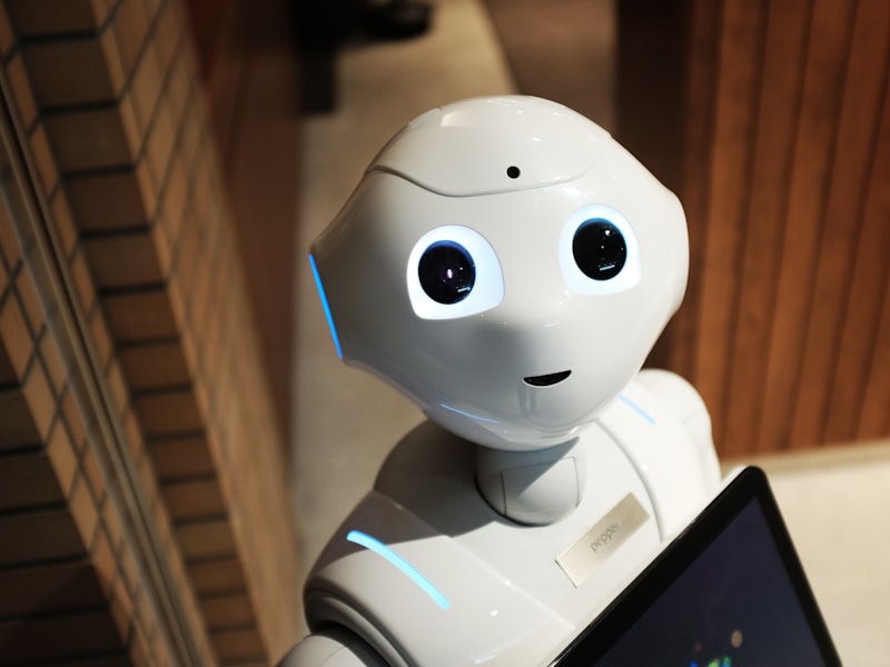 A friendly service robot